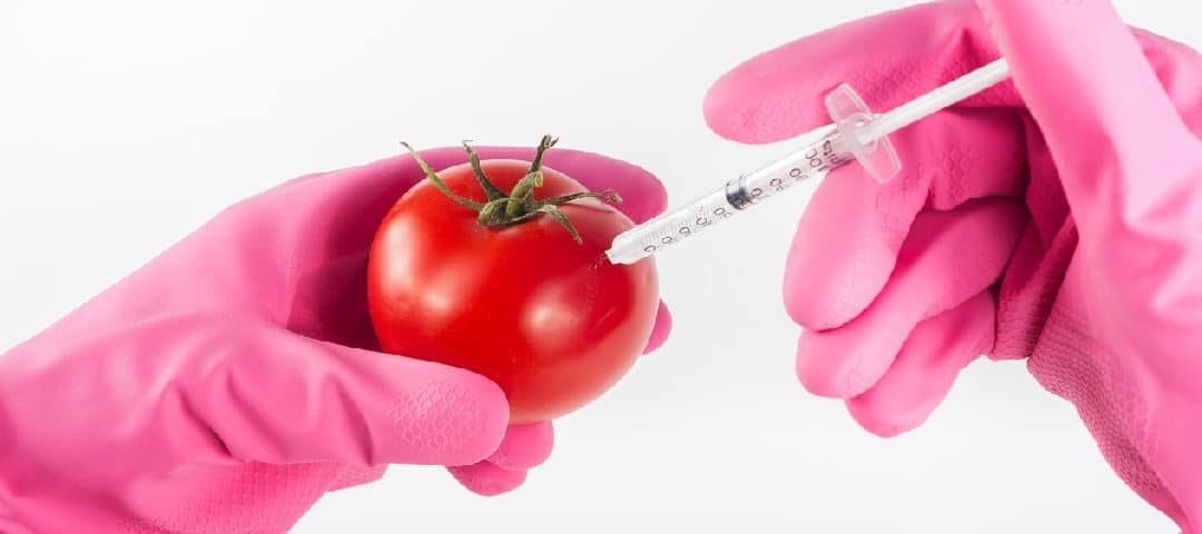 Żywność GMO- dobre czy złe osiągnięcie nauki?