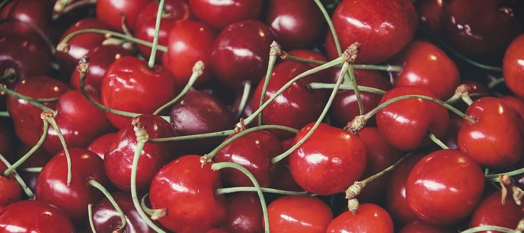 Wiśnie – wartości odżywcze, korzyści zdrowotne, proces pasteryzacji
