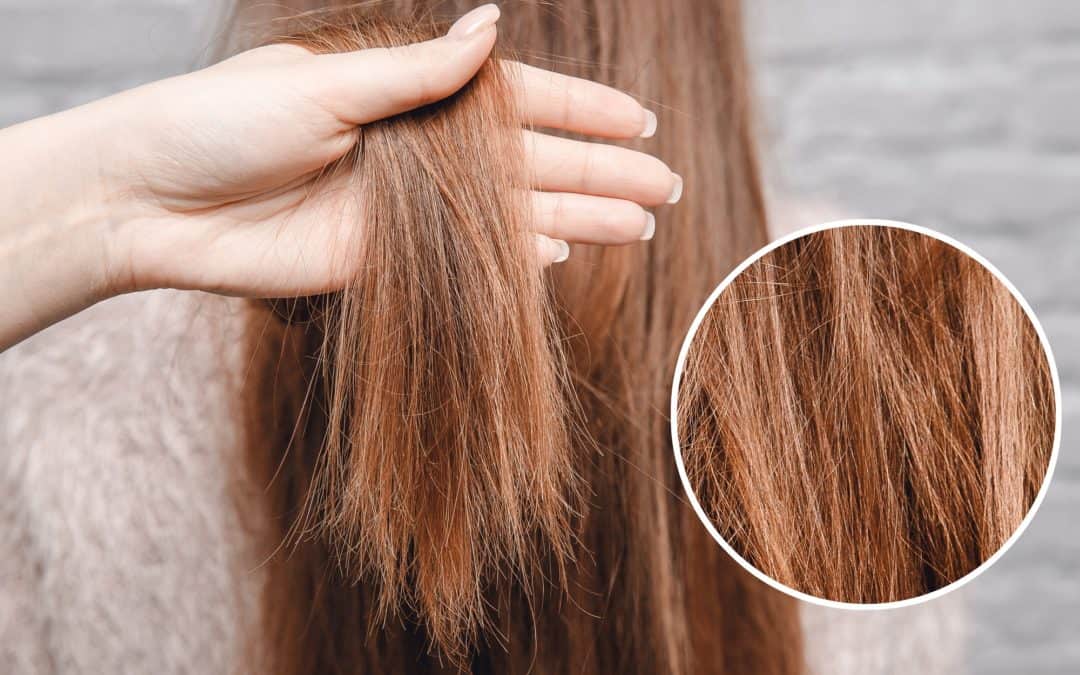 Włosy zniszczone zabiegami chemicznymi – jak je zregenerować?
