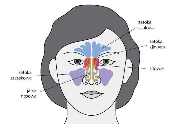 Nowotwory złośliwe zatok przynosowych – objawy, diagnostyka i leczenie